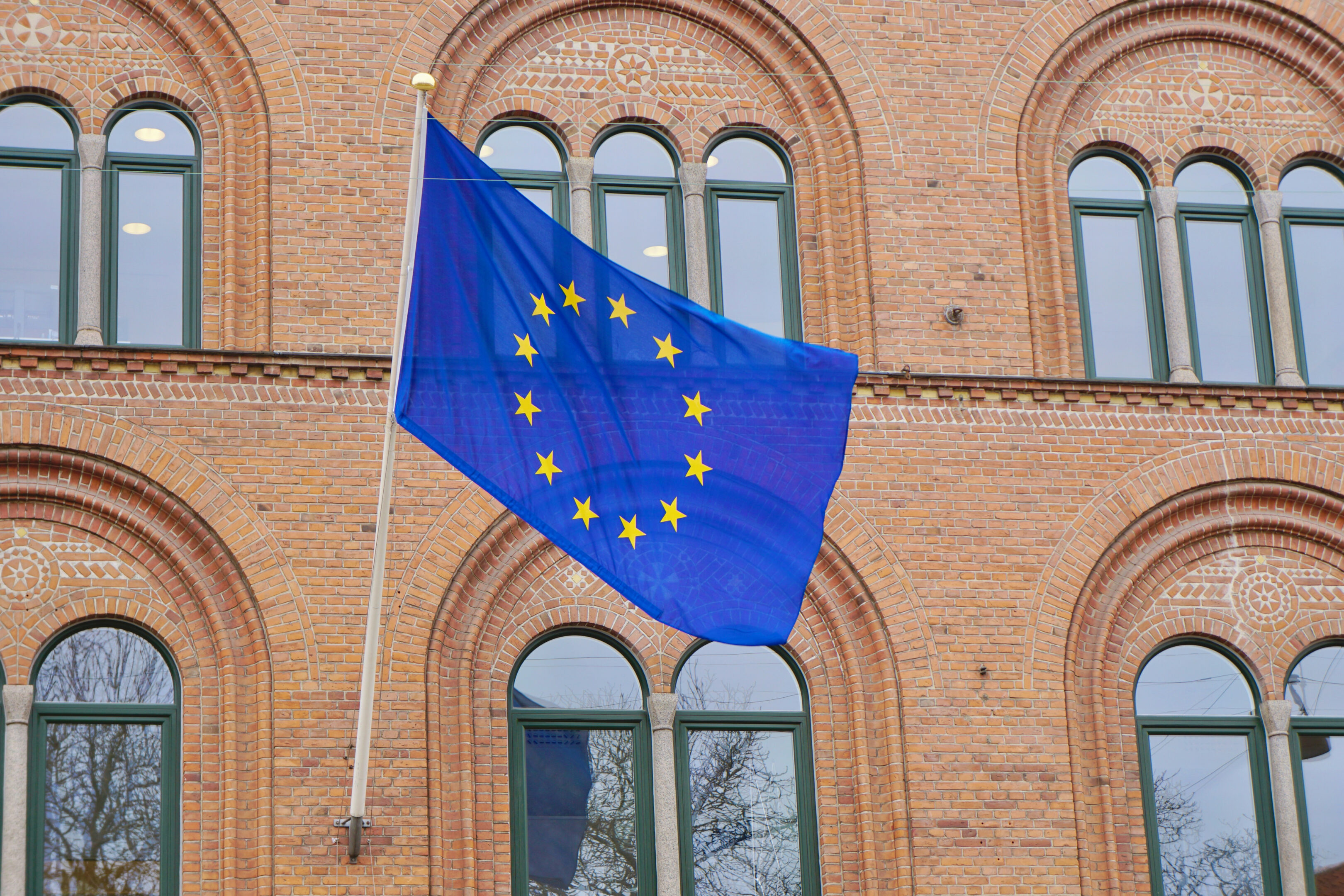 Bandera europea